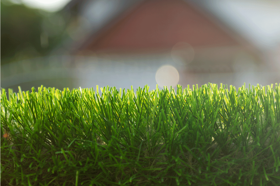 Quale Fibra è Migliore per il Prato Sintetico? Analisi di Polietilene e Polipropilene
