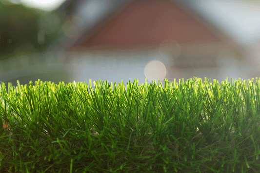 Quale Fibra è Migliore per il Prato Sintetico? Analisi di Polietilene e Polipropilene