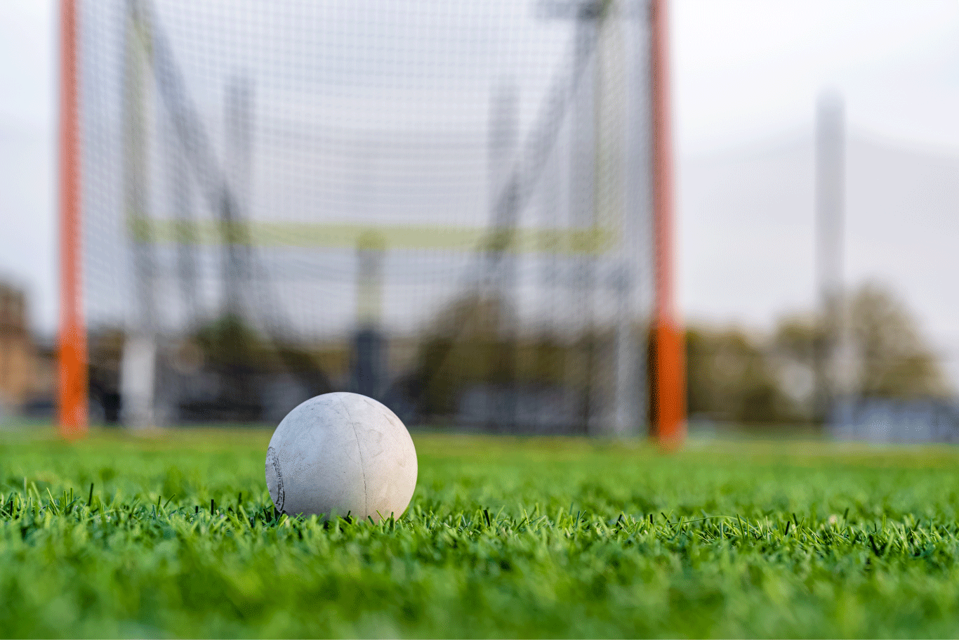 Erba sintetica, l'alta qualità nel mondo dello Sport