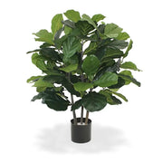 Ficus Lyrata Deluxe 95 cm