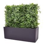 Carica immagine nella visualizzazione Galleria, Siepe Schefflera 80x25x56 Protezione Uv
