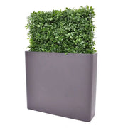 Siepe Schefflera 80x25x56 Protezione Uv
