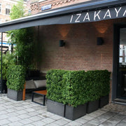 Siepe artificiale di bosso deluxe 80x100 cm