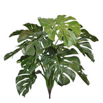 Carica immagine nella visualizzazione Galleria, Monstera Deluxe 75 cm
