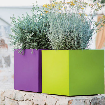 Vaso Cube