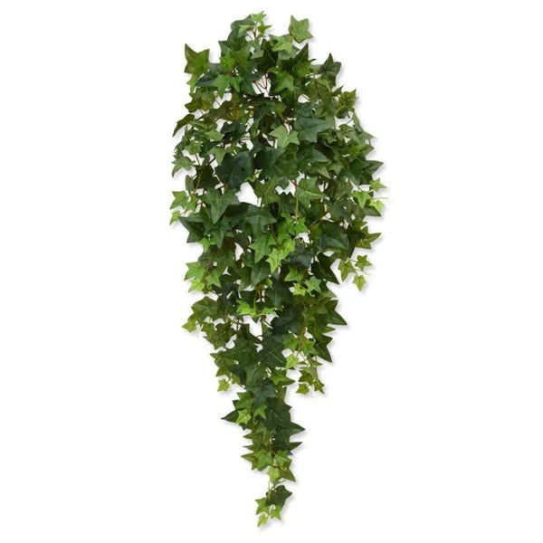 Edera 100 cm Verde