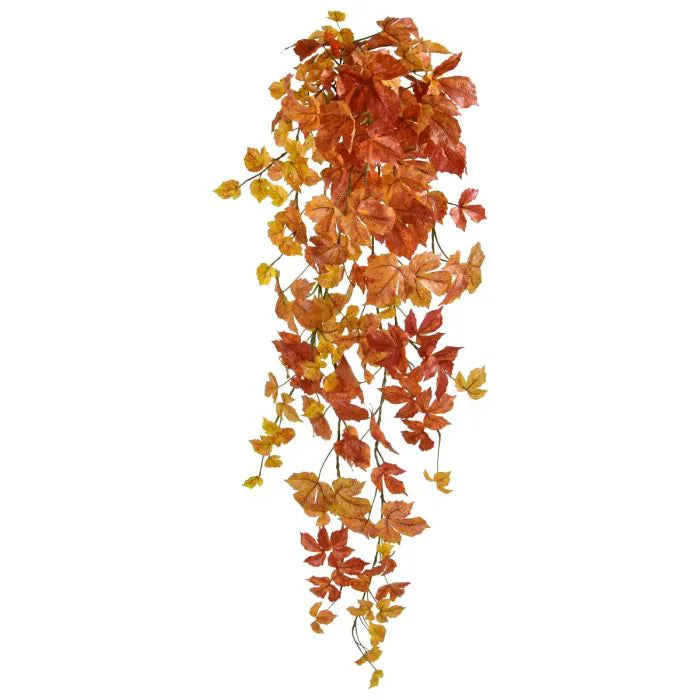 Acero Autunnale 90 cm