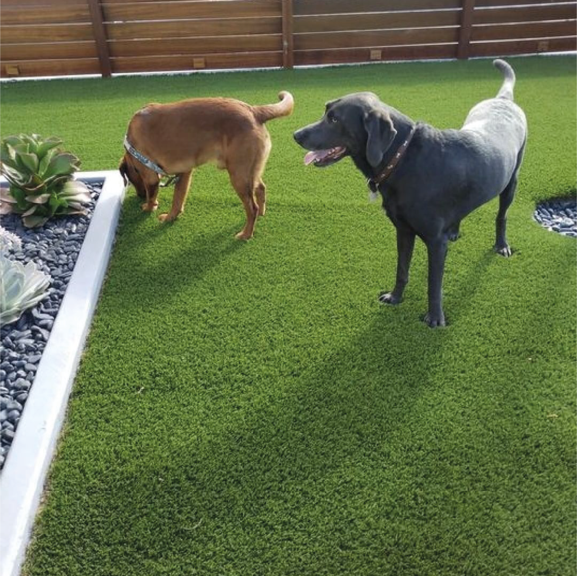 Pietra Decorativa Da Giardino, Design A Foglia, Stepping Stone - Foto 4