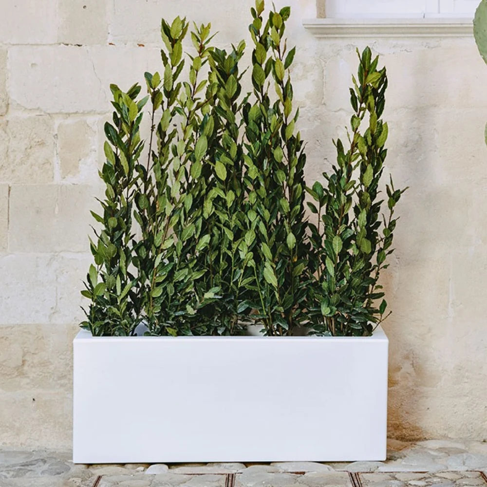 Fioriera Matera