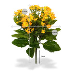 Carica immagine nella visualizzazione Galleria, Kalanchoe arancione 30 cm
