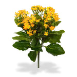 Carica immagine nella visualizzazione Galleria, Kalanchoe arancione 30 cm
