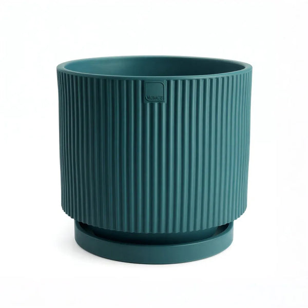 Vaso Vertigo