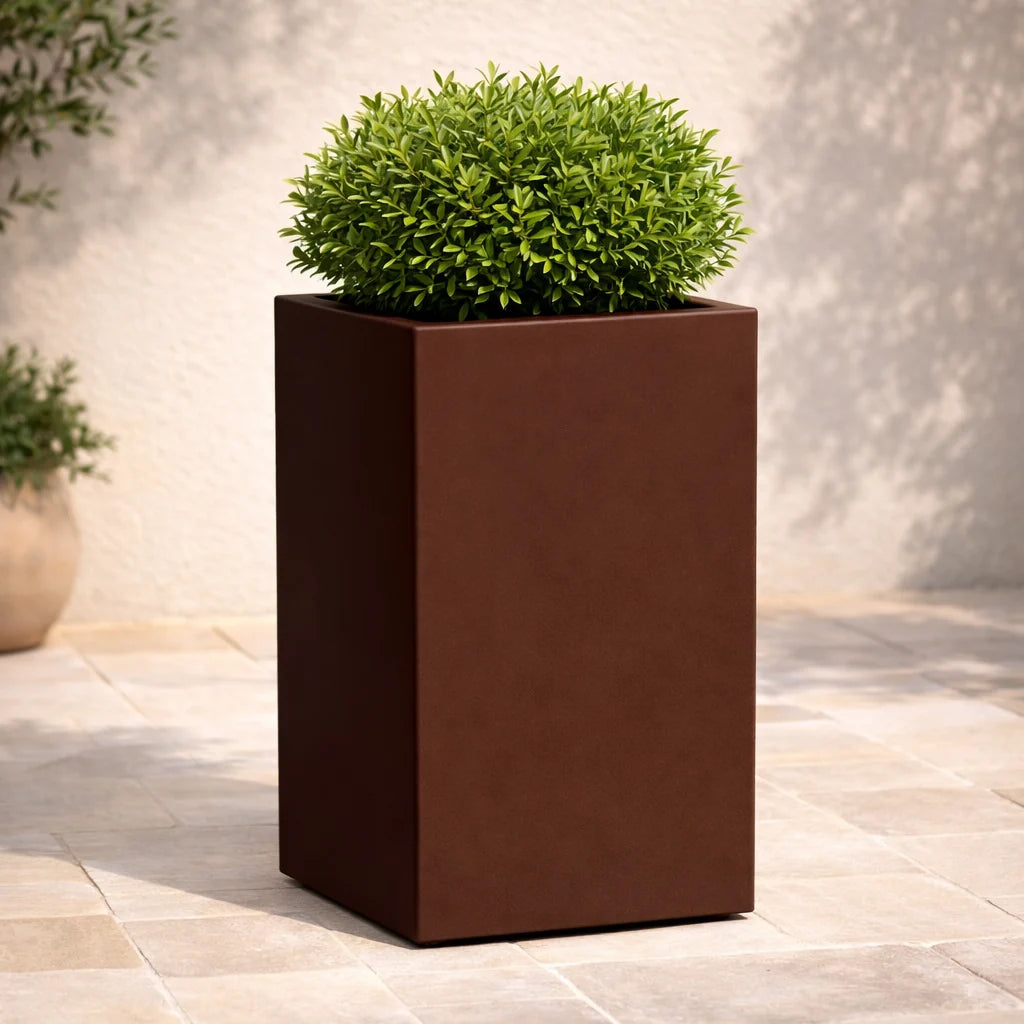 Vaso Cube