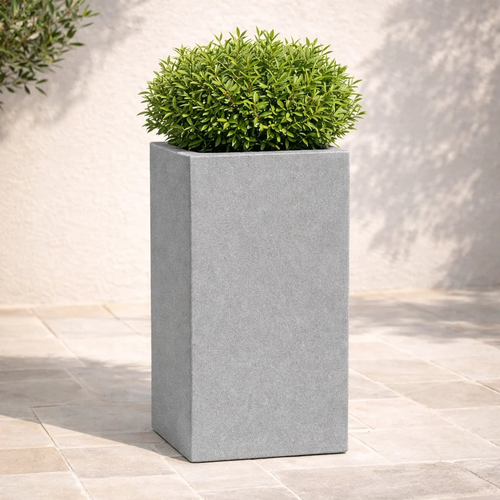 Vaso Cube