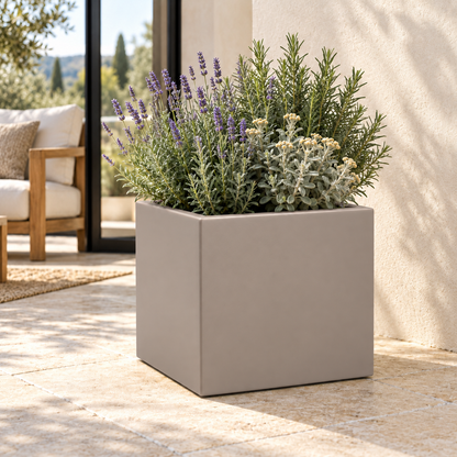 Vaso Cube