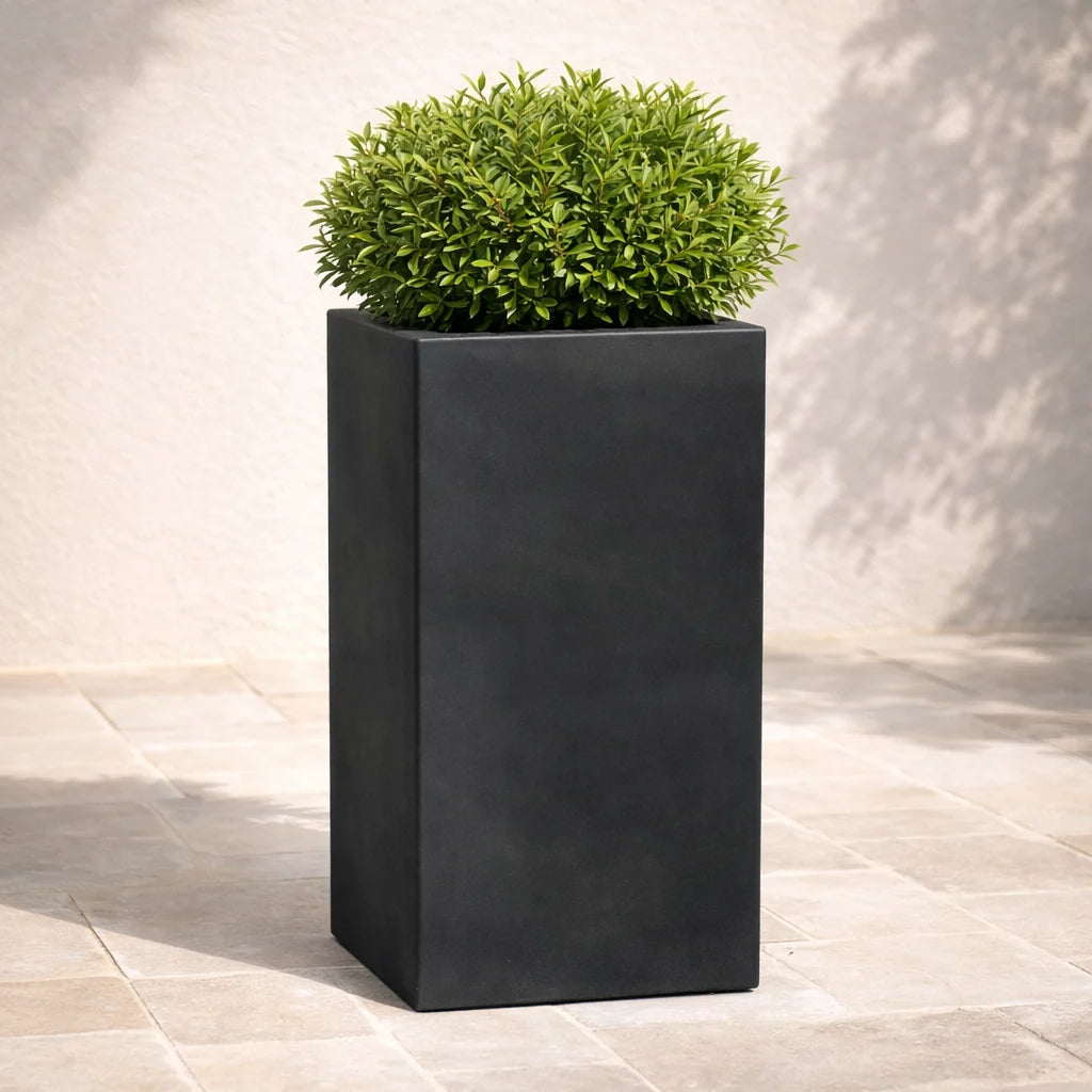 Vaso Cube