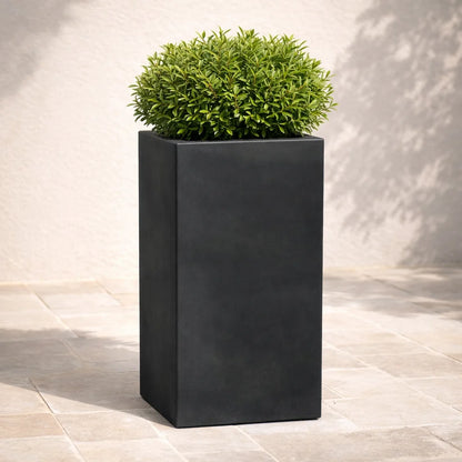 Vaso Cube