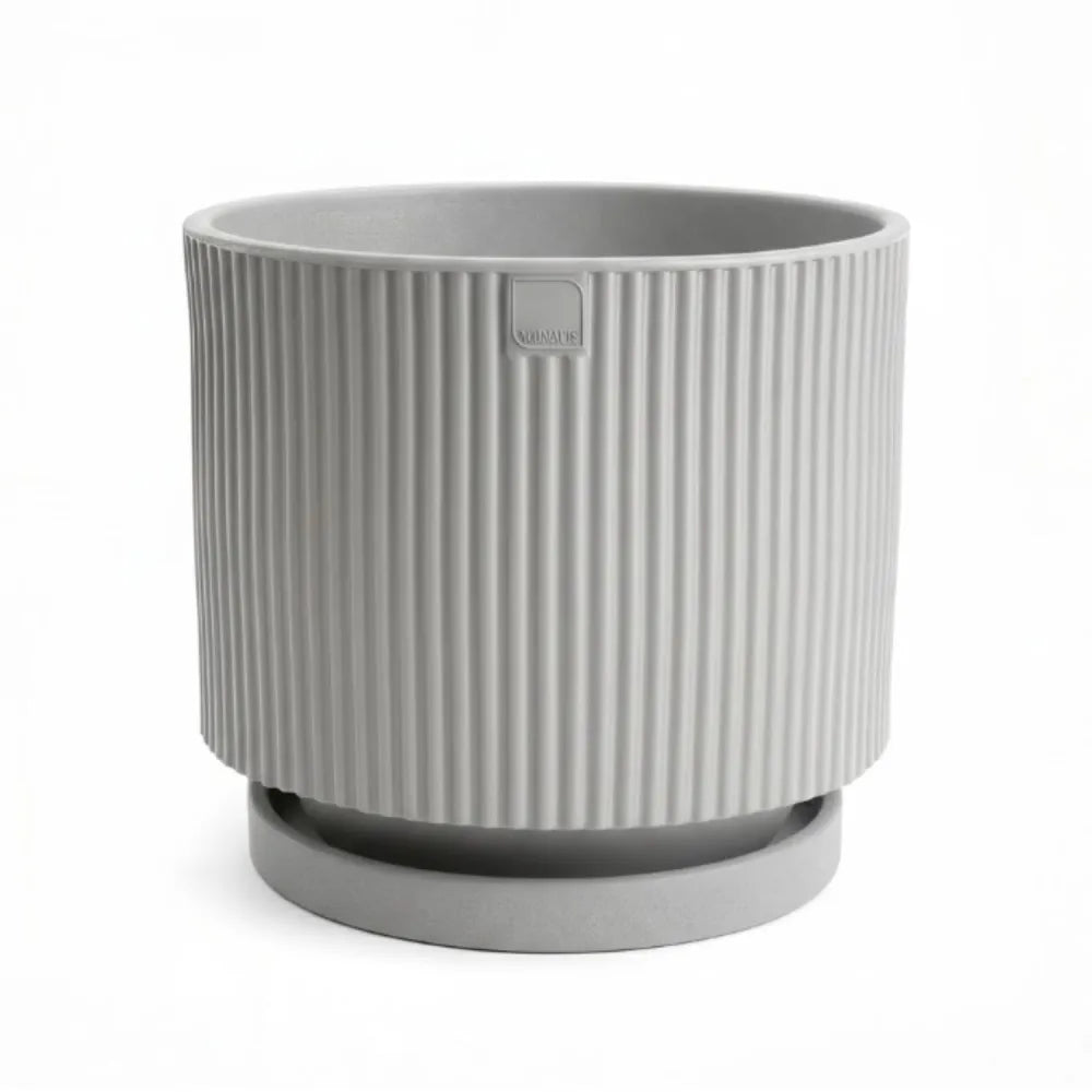 Vaso Vertigo