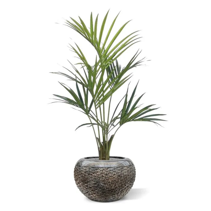Kentia Deluxe 135 cm
