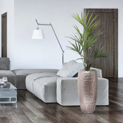 Kentia Deluxe 135 cm