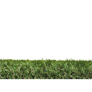 Cipresso 40 mm multidirezionale