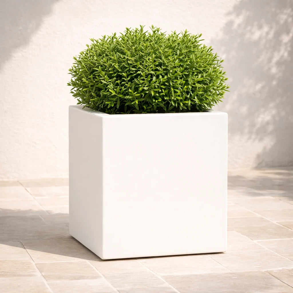 Vaso Cube
