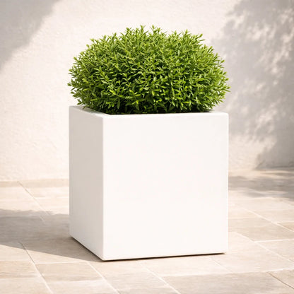 Vaso Cube
