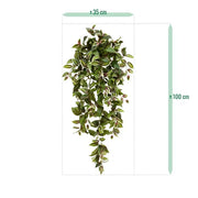 Tradescantia 100 cm