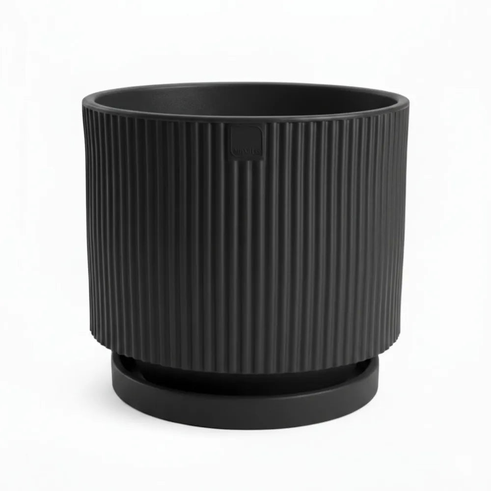 Vaso Vertigo