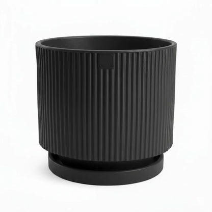 Vaso Vertigo