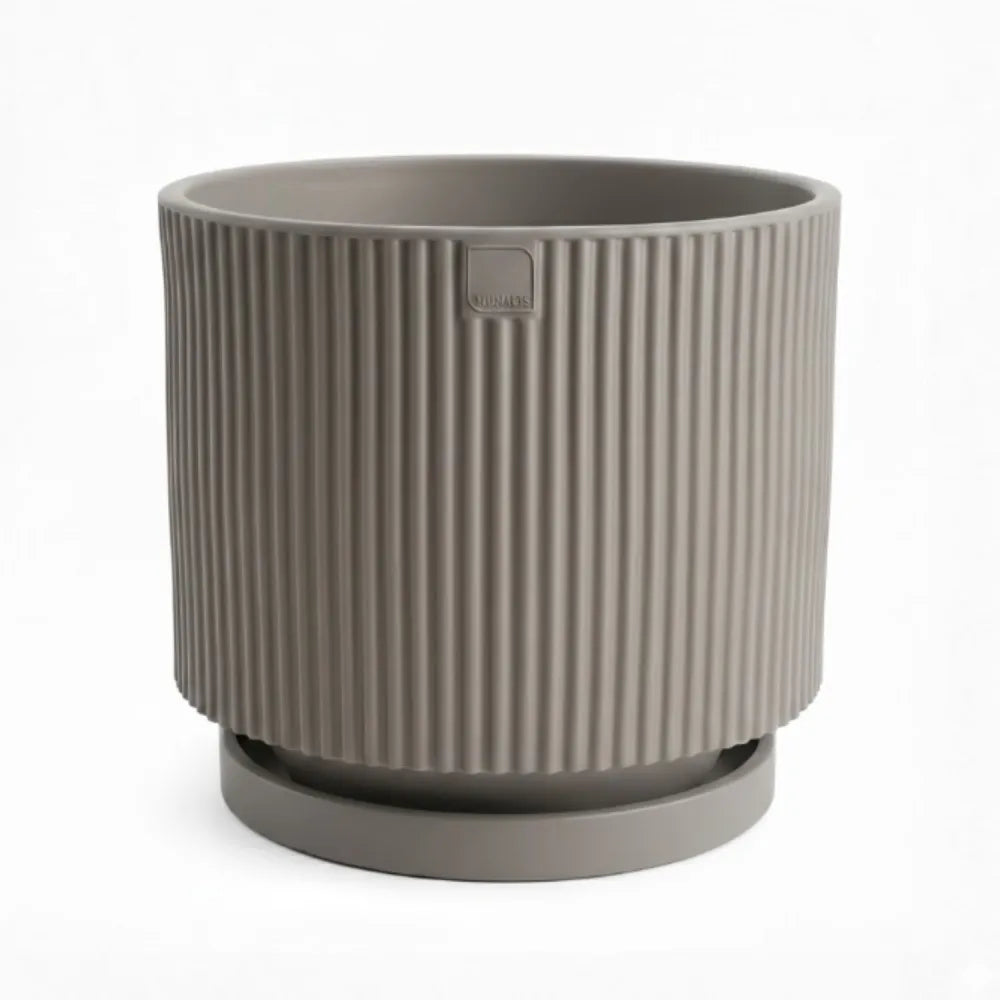 Vaso Vertigo
