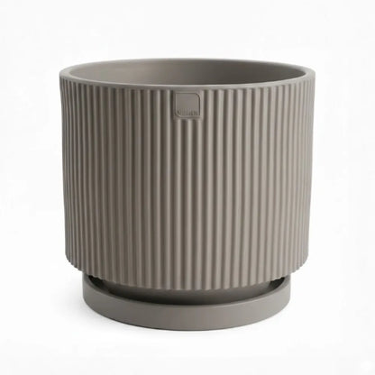 Vaso Vertigo