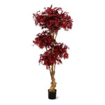 Carica immagine nella visualizzazione Galleria, Bonsai Di Acero  DELUXE 170 CM

