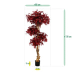 Carica immagine nella visualizzazione Galleria, Bonsai Di Acero  DELUXE 170 CM
