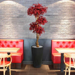 Carica immagine nella visualizzazione Galleria, Bonsai Di Acero  DELUXE 170 CM
