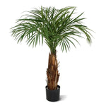 Carica immagine nella visualizzazione Galleria, Palma Areca Deluxe 120 cm
