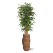 Bambù Deluxe 240 cm