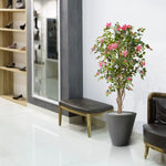 Carica immagine nella visualizzazione Galleria, Albero Bougainville 150 cm
