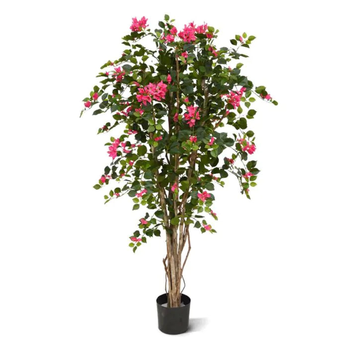 Albero Bougainville 150 cm