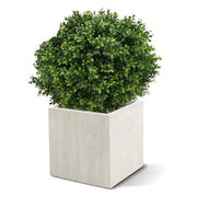 Palla di Bosso Deluxe 50 cm