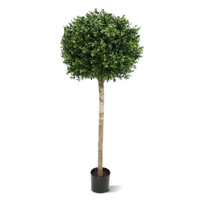 Palla di Bosso con Tronco 140 cm