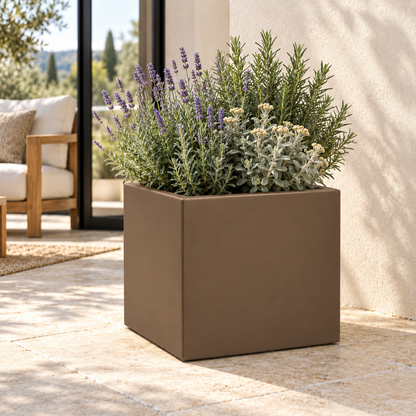 Vaso Cube