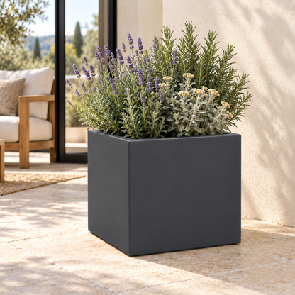 Vaso Cube