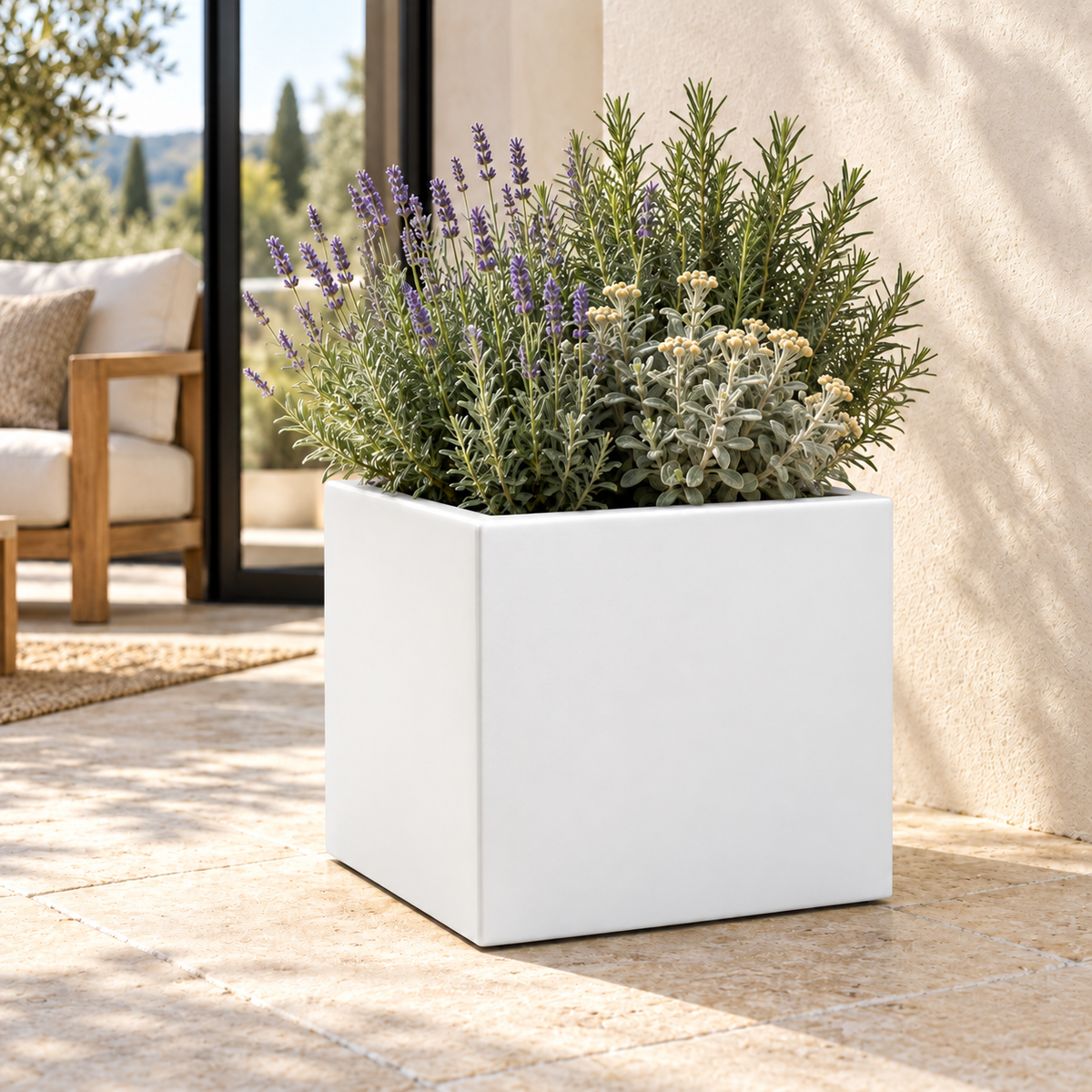 Vaso Cube