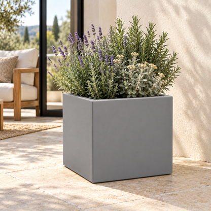 Vaso Cube