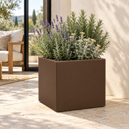Vaso Cube