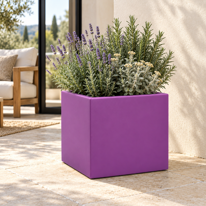 Vaso Cube