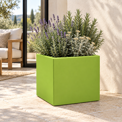 Vaso Cube