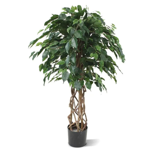 Ficus Exotica Palla 125 cm