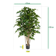 Ficus Exotica Deluxe Vede 125 cm